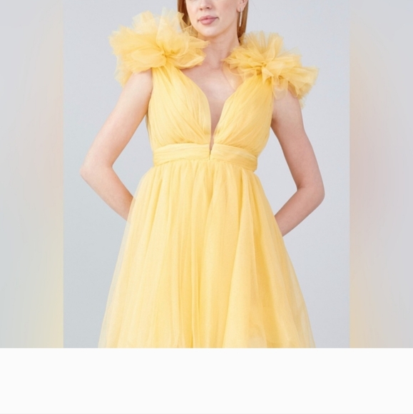 Mini Tulle Dress - Picture 13 of 16